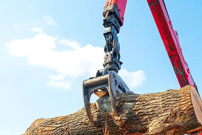 Feller Buncher Image